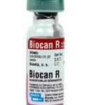 Biocan R Vaccine